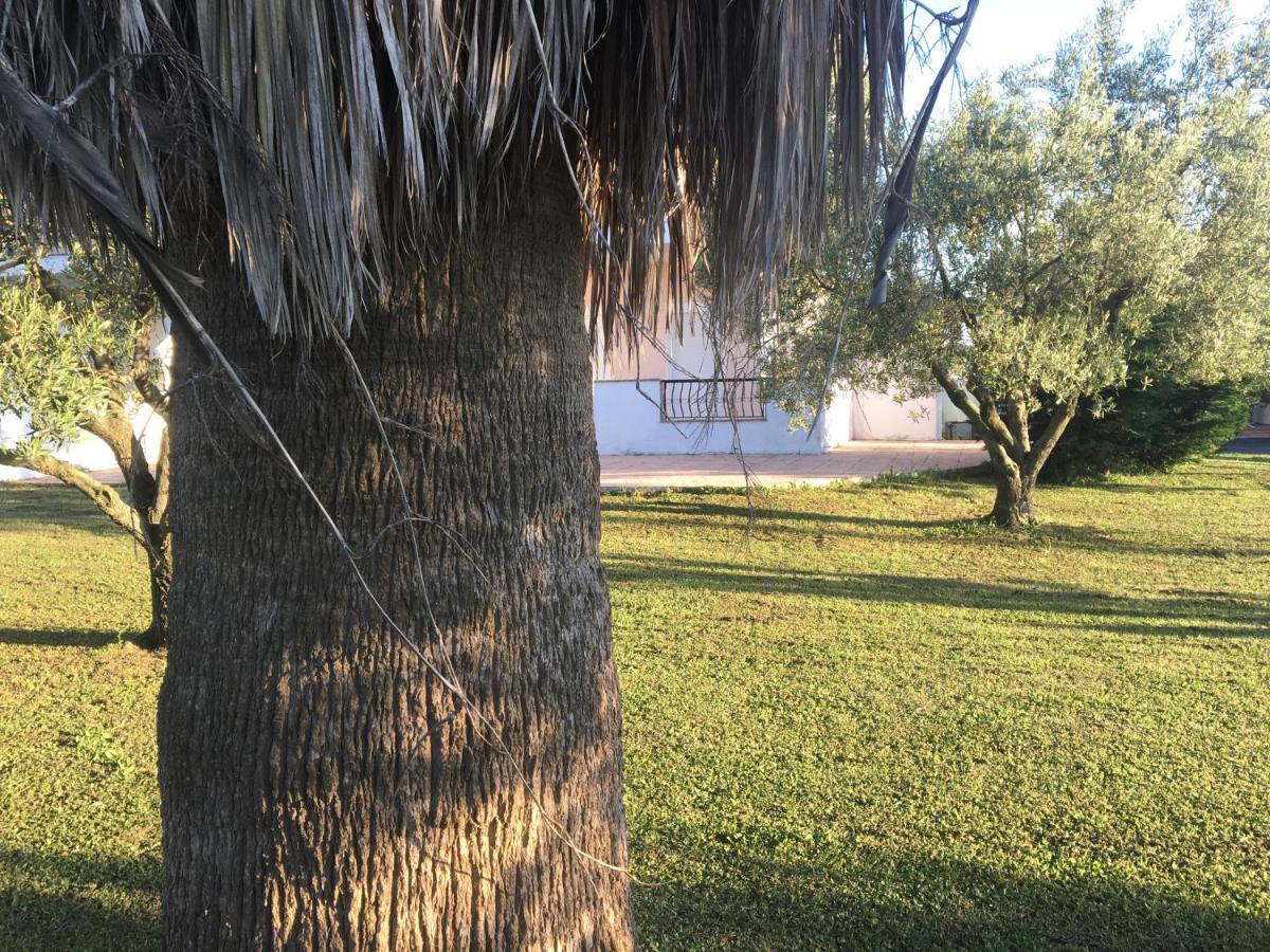 Afitos Villa Kristy المظهر الخارجي الصورة